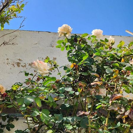 Duplex Bien Equipe Securise Avec Jardin Et Veranda Ла-Марса Екстер'єр фото